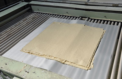 �������Y���Z�p